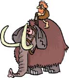 elefante-081.jpg