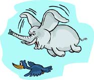 elefante-083.jpg