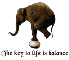 elefante-090.gif