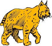 felinos-miscelanea-018.jpg