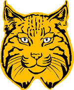 felinos-miscelanea-019.jpg
