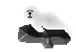 foca-006.gif