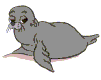 foca-011.gif