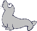 foca-017.gif