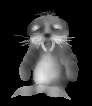 foca-019.gif