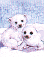 foca-021.gif