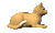 gato-077.gif