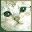 gato-135.jpg