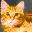 gato-140.jpg