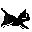 gato-142.jpg
