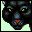 gato-145.jpg