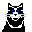 gato-147.jpg