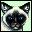 gato-153.jpg