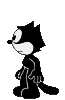 gato-344.gif
