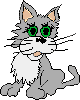 gato-346.gif