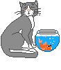 gato-347.gif