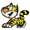 gato-356.gif
