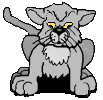 gato-361.gif