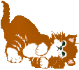 gato-362.gif