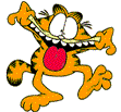 gato-370.gif
