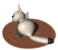 gato-371.gif