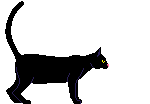 gato-375.gif
