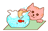 gato-378.gif