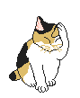 gato-381.gif