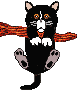 gato-382.gif