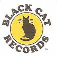 gato-388.jpg