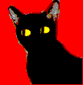 gato-400.gif