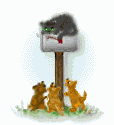 gato-403.gif