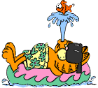 gato-408.gif