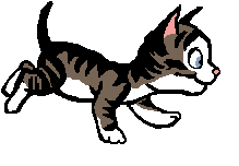 gato-448.gif