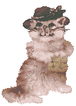 gato-478.gif