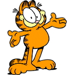 gato-479.gif