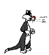 gato-481.gif
