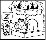 gato-482.gif