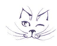 gato-488.gif