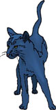 gato-489.jpg