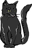 gato-490.jpg