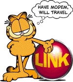 gato-500.gif