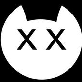 gato-501.jpg