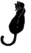 gato-504.gif