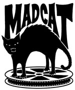 gato-506.jpg