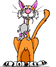 gato-526.gif