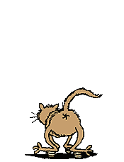 gato-527.gif