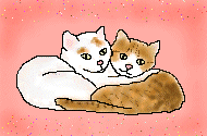 gato-548.gif