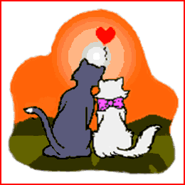 gato-565.gif