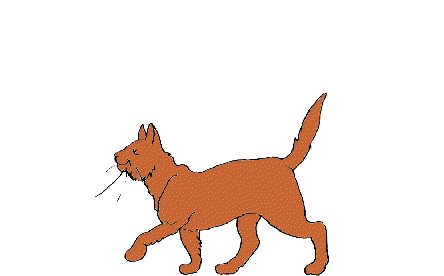 gato-602.gif
